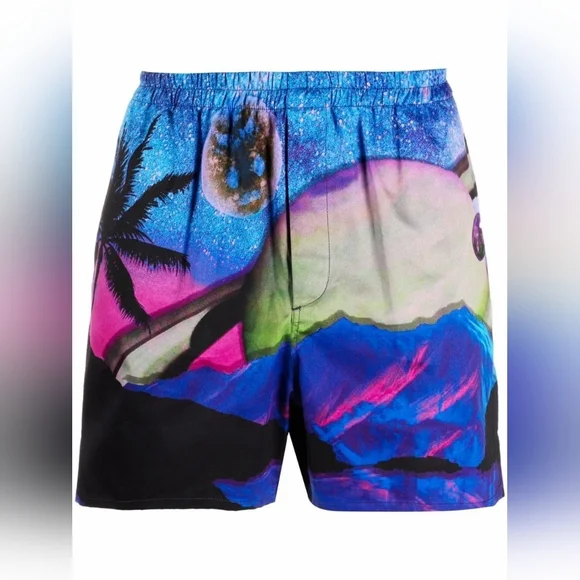 NWT Valentino Water‎ Sky Men's Shorts 52 XL - Picture 2 of 7